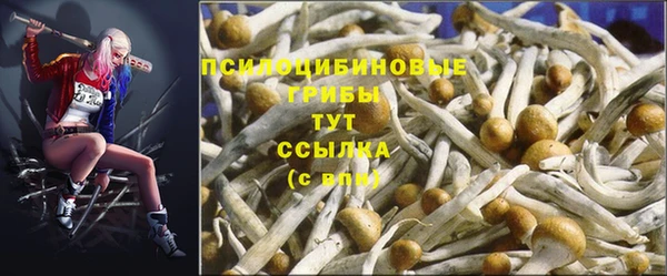 spice Алзамай