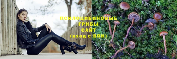 spice Алзамай
