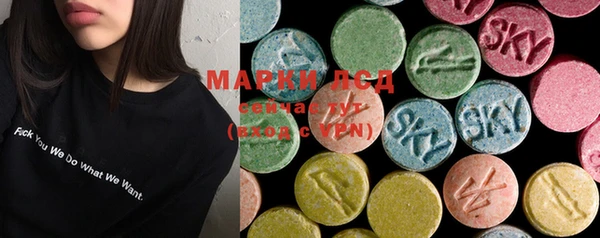 spice Алзамай