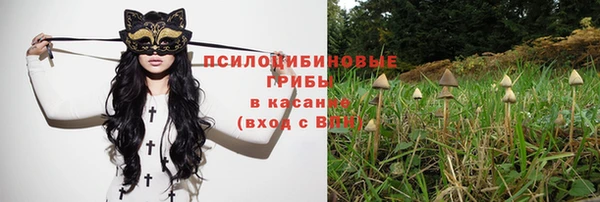 spice Алзамай